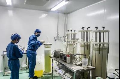 333���� - ��̬�ȵ������Ż�