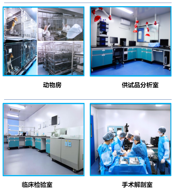 333���� - ��̬�ȵ������Ż�