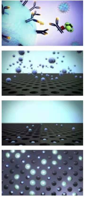 333���� - ��̬�ȵ������Ż�