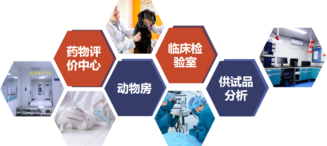 333���� - ��̬�ȵ������Ż�