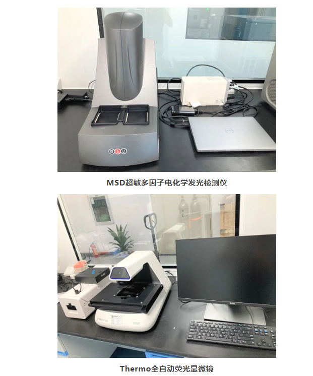 333���� - ��̬�ȵ������Ż�