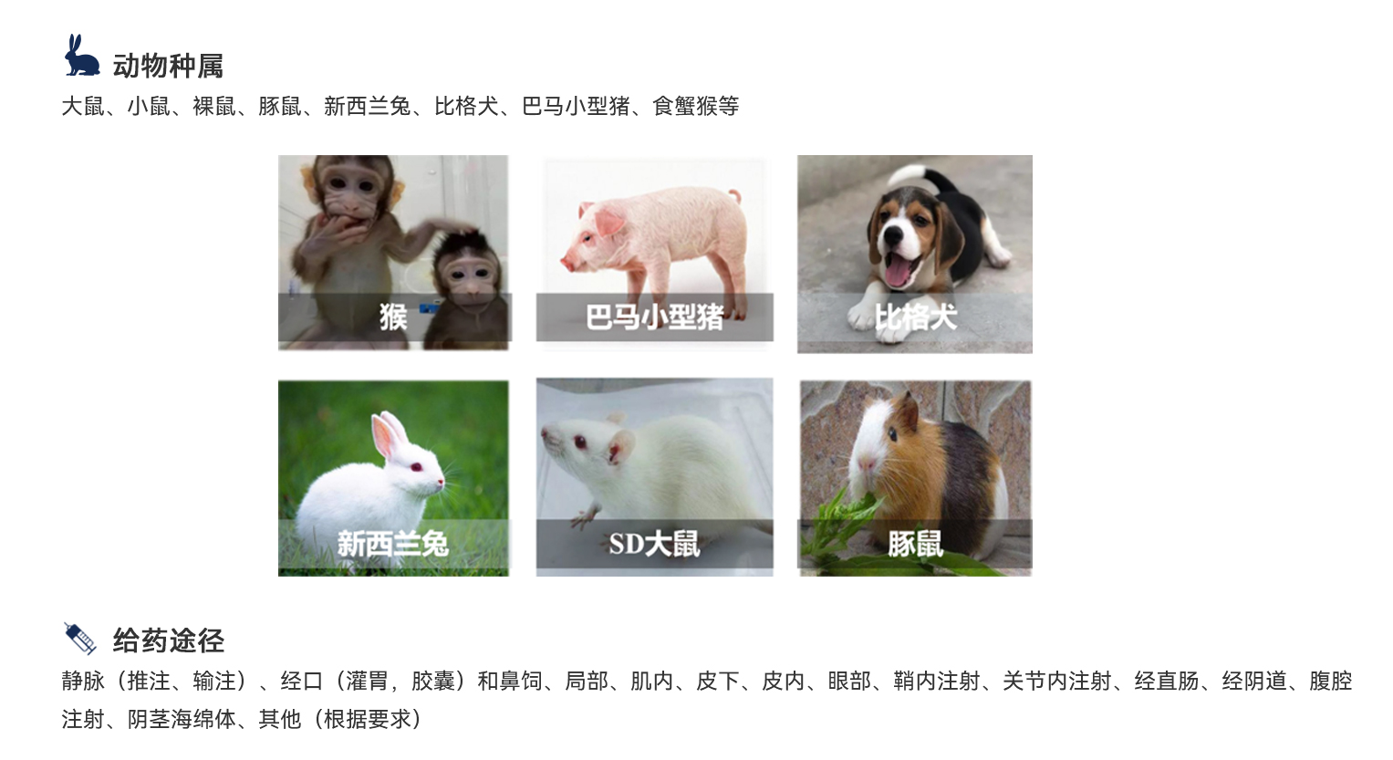 333���� - ��̬�ȵ������Ż�