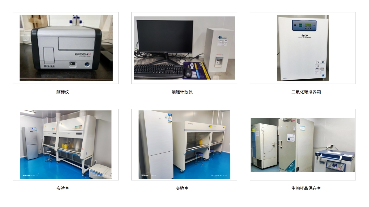 333���� - ��̬�ȵ������Ż�