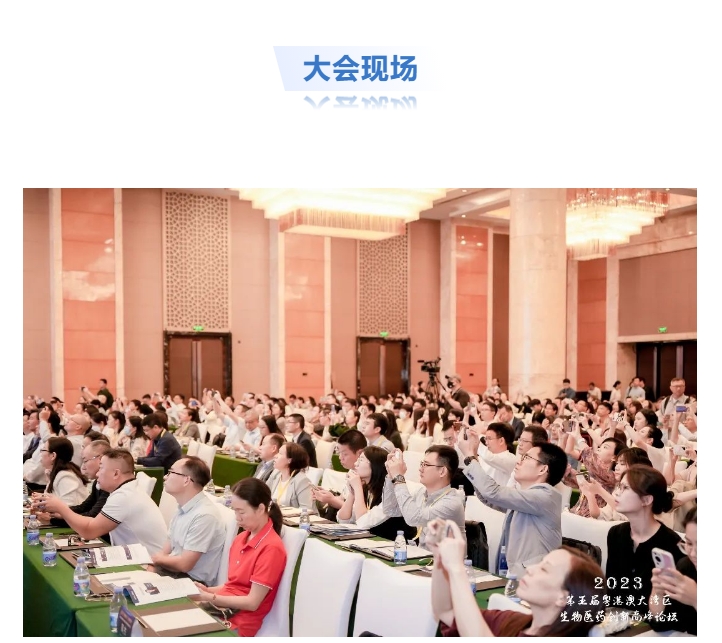 333���� - ��̬�ȵ������Ż�