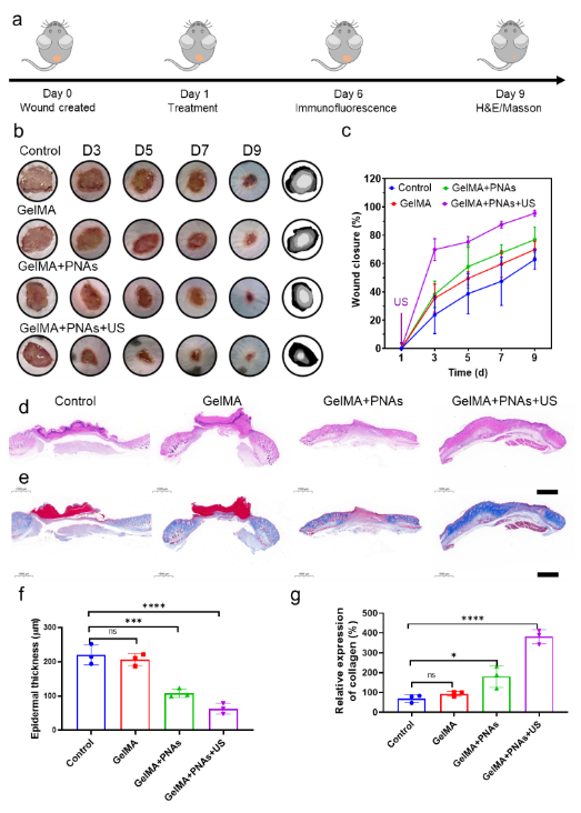 333���� - ��̬�ȵ������Ż�