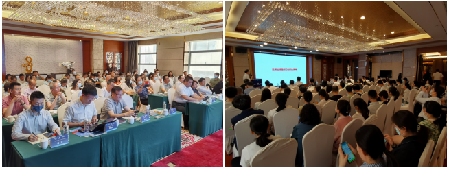 333���� - ��̬�ȵ������Ż�