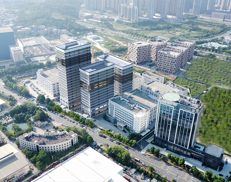 333���� - ��̬�ȵ������Ż�