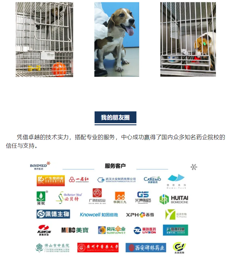 333���� - ��̬�ȵ������Ż�