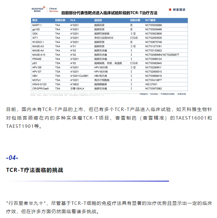 333���� - ��̬�ȵ������Ż�