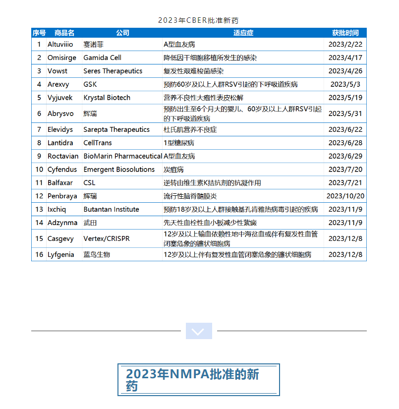 333���� - ��̬�ȵ������Ż�