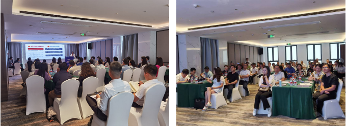 333���� - ��̬�ȵ������Ż�