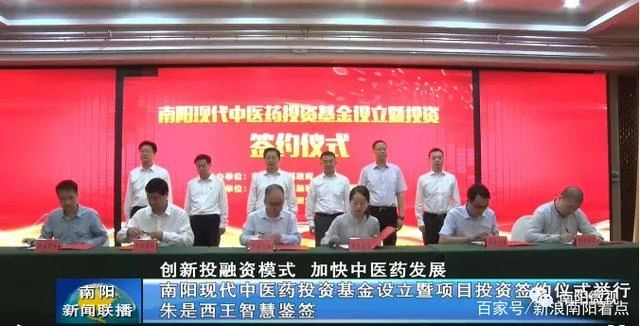 333���� - ��̬�ȵ������Ż�